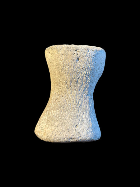 Pliosaur Paddle Digit - Orton Pit, Peterborough