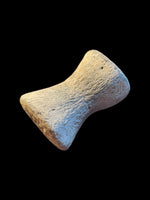 Pliosaur Paddle Digit - Orton Pit, Peterborough