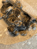 Saurorhynchus (Fish) Cranium in Nodule - Black Ven, Lyme Regis